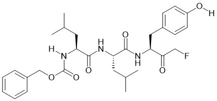 Z-LLY-FMK CAS 133410-84-1